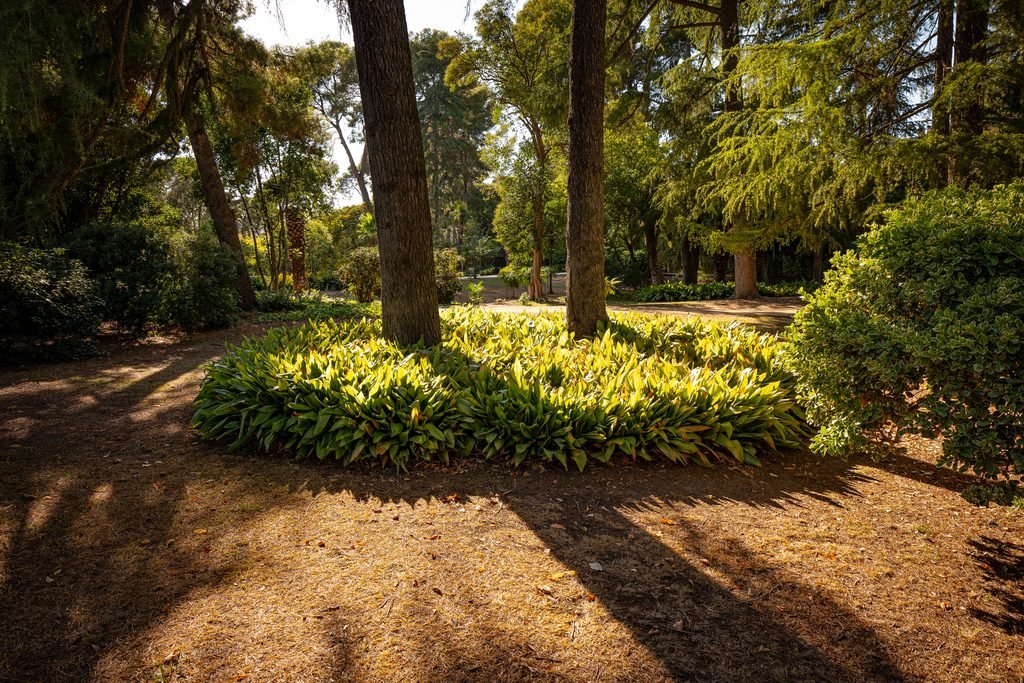 Historias visuales - Jardines de Pedralbes