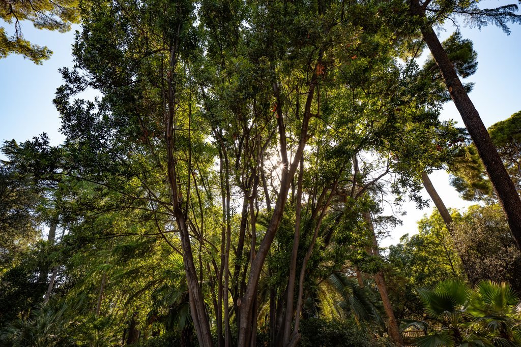Historias visuales - Jardines de Pedralbes
