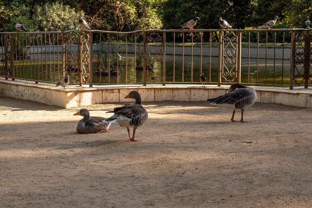 Jardines de Pedralbes