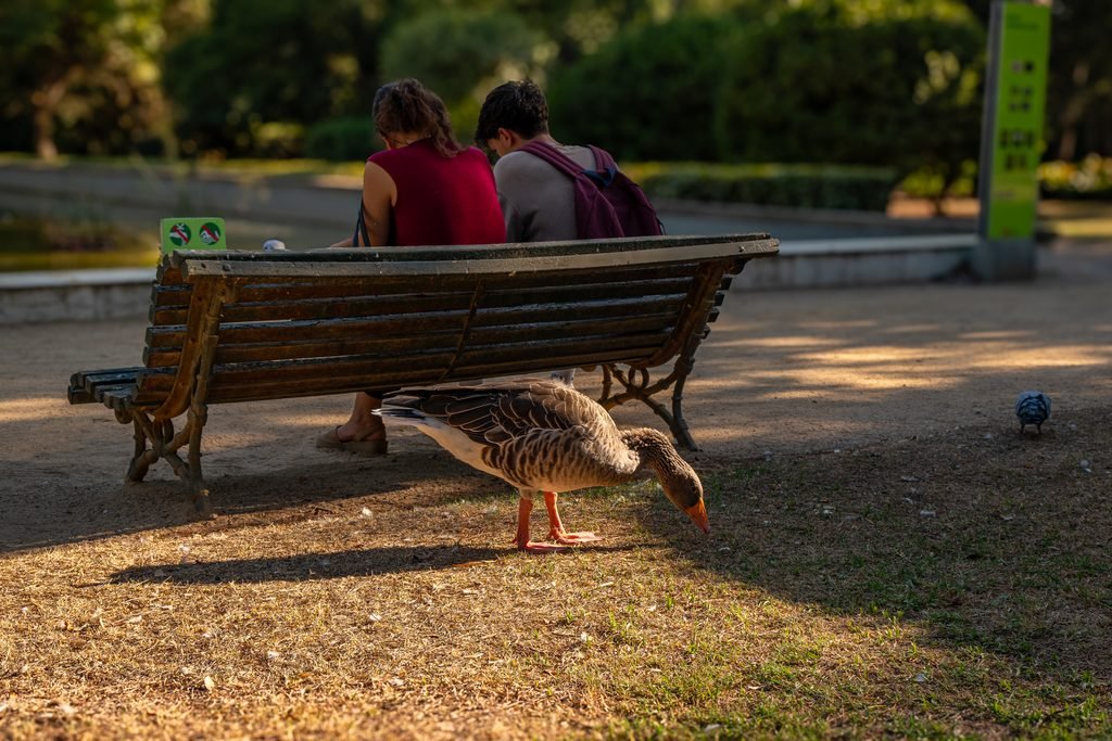 Jardines de Pedralbes