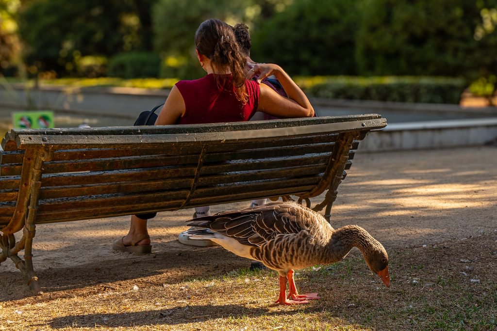 Jardines de Pedralbes
