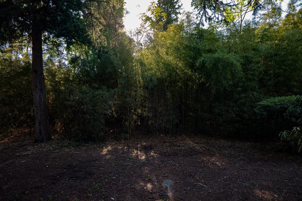 Jardines de Pedralbes