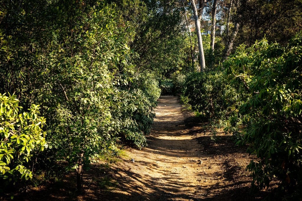 Jardines de Pedralbes