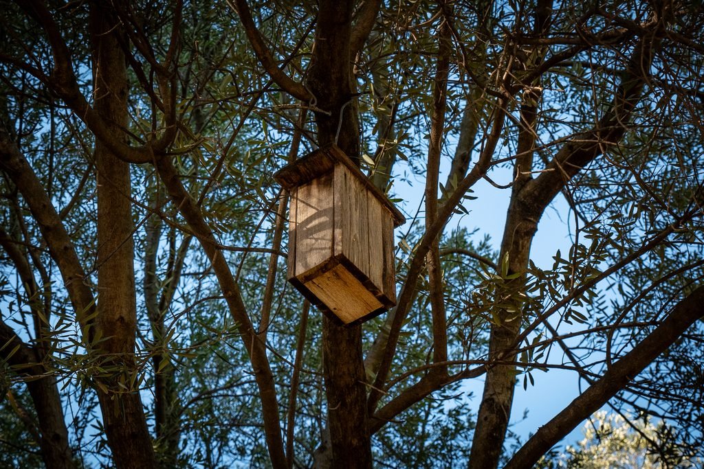 Jardines de Pedralbes